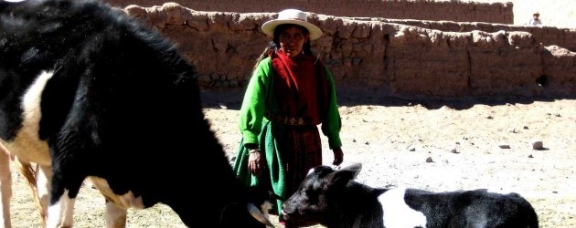 Comunitats rurals indígenes de Yura (Potosí) Comunitats rurals indígenes de Yura (Potosí)